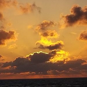 Meet your Posher, Annette